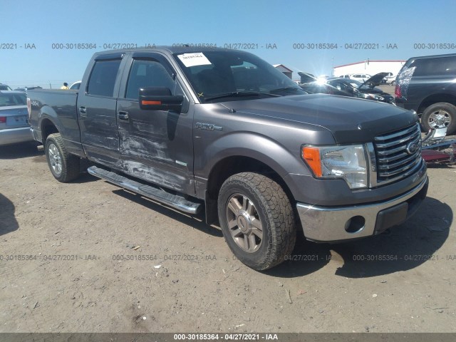 FORD F-150 2012 1ftfw1et1cfa01239