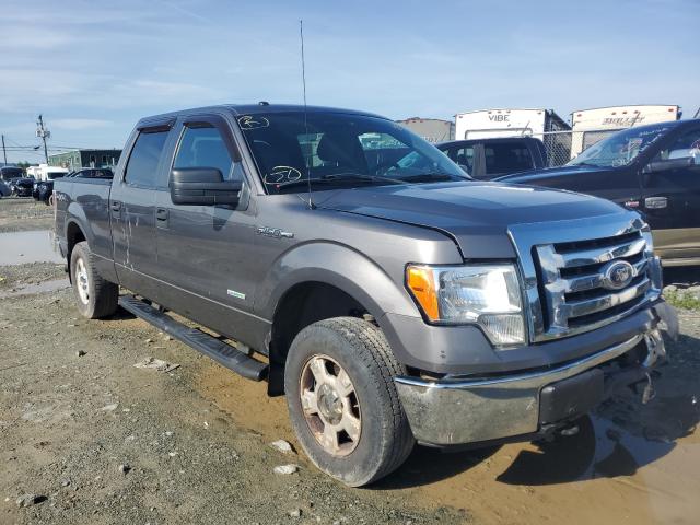 FORD F-150 2012 1ftfw1et1cfb03852