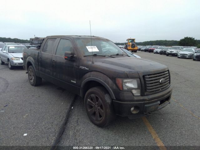 FORD F-150 2012 1ftfw1et1cfb33515