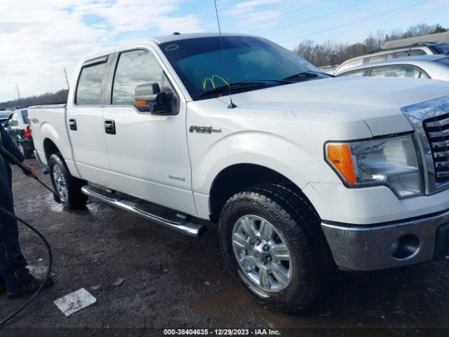 FORD F-150 2012 1ftfw1et1cfb51920