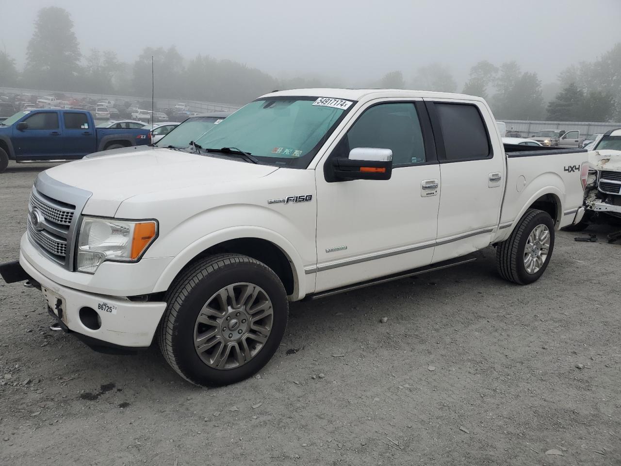 FORD F-150 2012 1ftfw1et1cfb61072