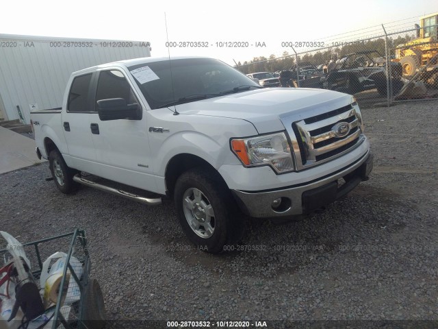 FORD F-150 2012 1ftfw1et1ckd18655