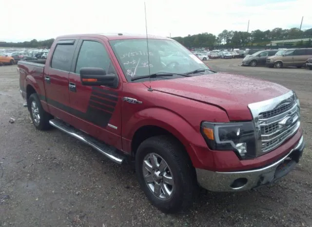 FORD F-150 2013 1ftfw1et1dfa34016