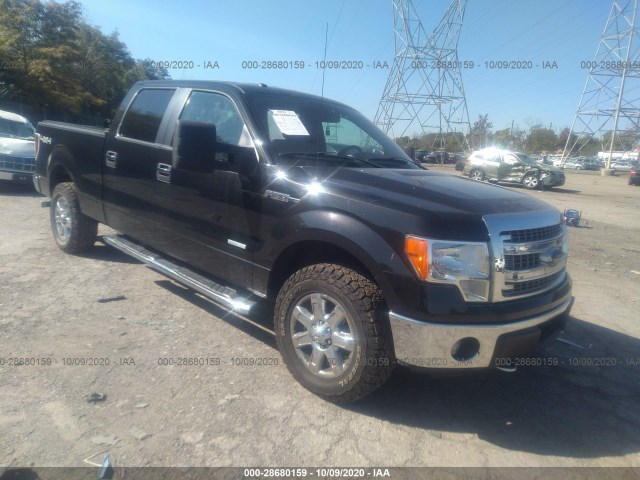 FORD F-150 2013 1ftfw1et1dfa44187