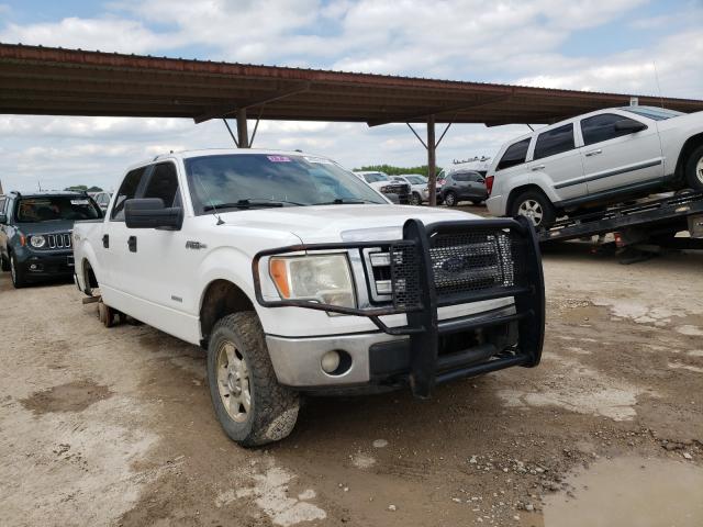 FORD F-150 2013 1ftfw1et1dfa55013