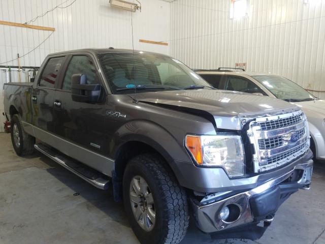 FORD NULL 2013 1ftfw1et1dfa81966