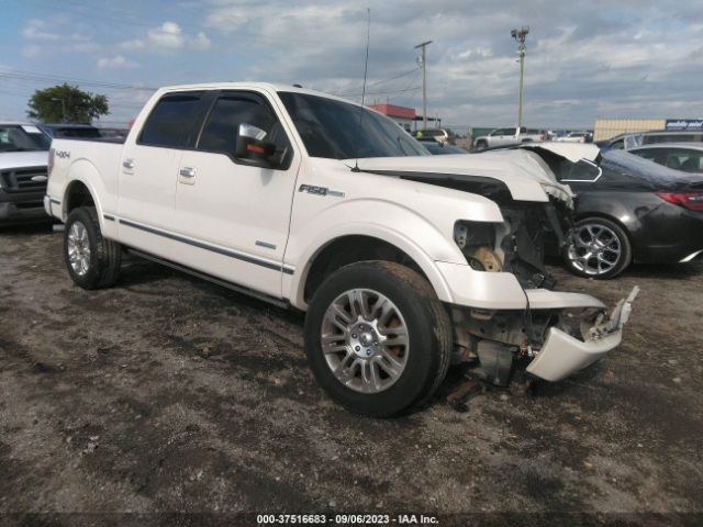 FORD F-150 2013 1ftfw1et1dfa85953