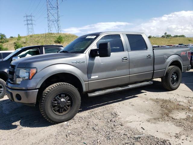 FORD F-150 2013 1ftfw1et1dfb13041