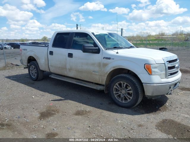 FORD F-150 2013 1ftfw1et1dfb24301