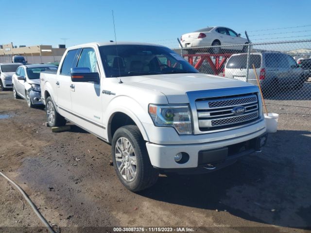 FORD F-150 2013 1ftfw1et1dfb30146