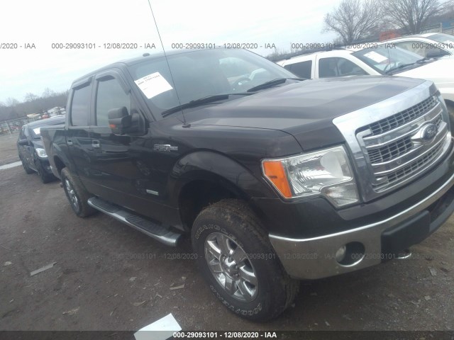 FORD F-150 2013 1ftfw1et1dfb35802