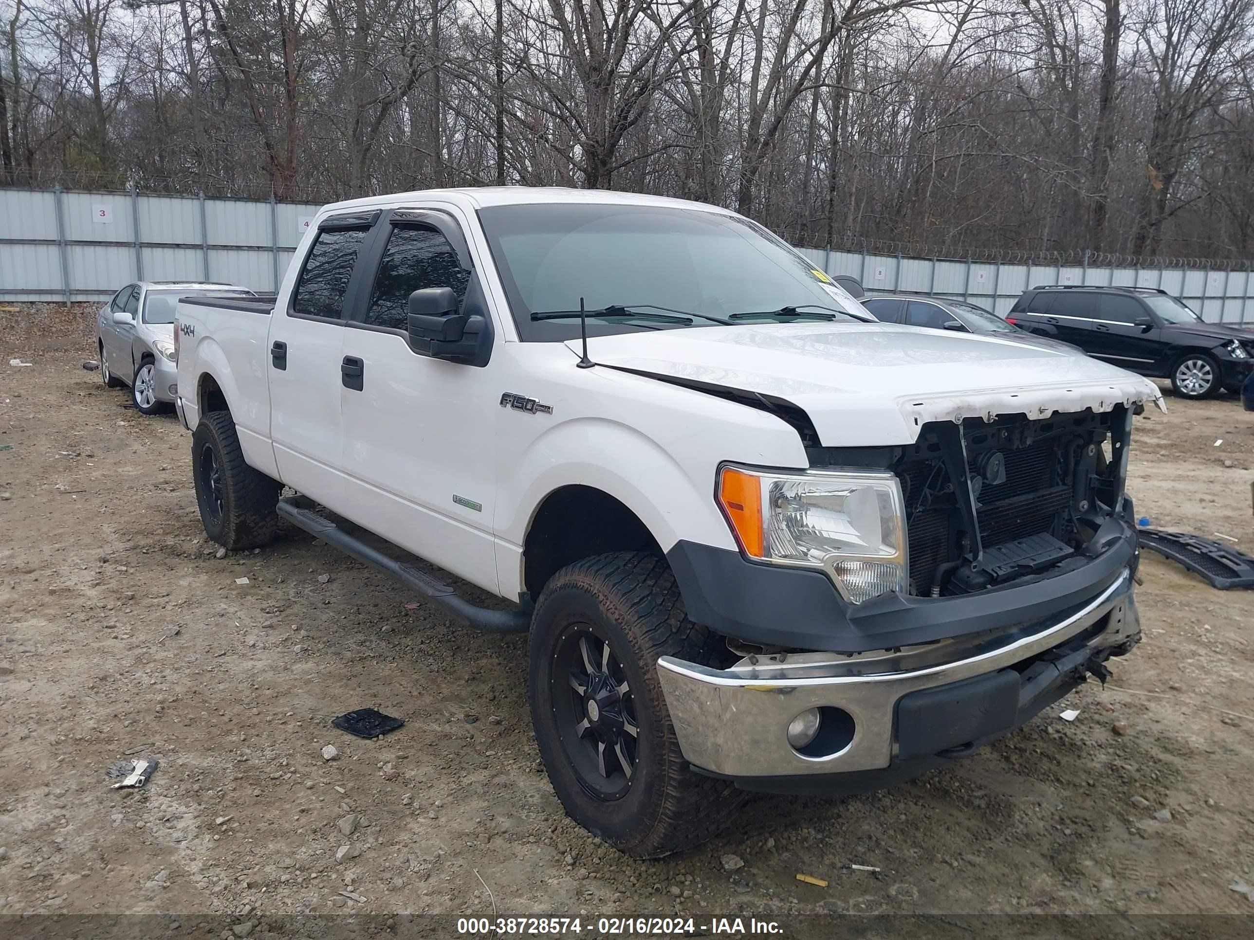 FORD F-150 2013 1ftfw1et1dfb41289