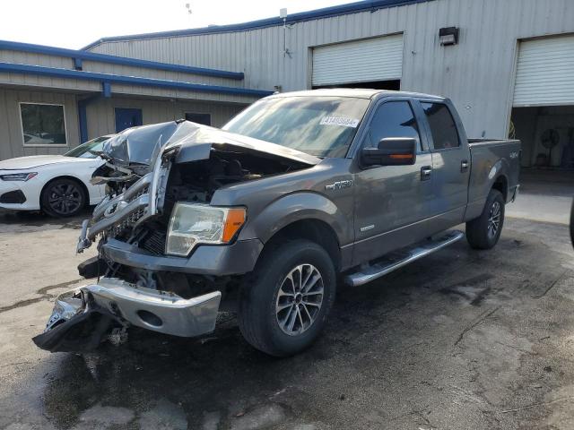 FORD F-150 2013 1ftfw1et1dfb42197