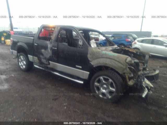 FORD F-150 2013 1ftfw1et1dfc18291