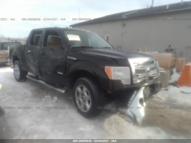 FORD F-150 2013 1ftfw1et1dfc29601