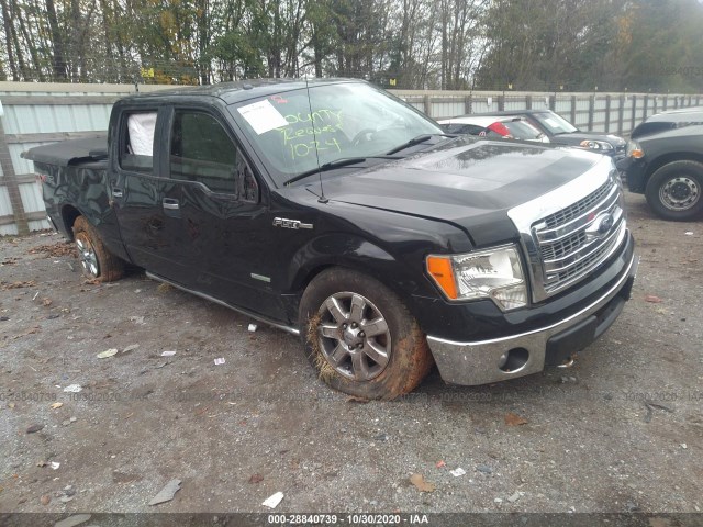 FORD F-150 2013 1ftfw1et1dfc67233