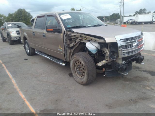 FORD F-150 2013 1ftfw1et1dfd05348