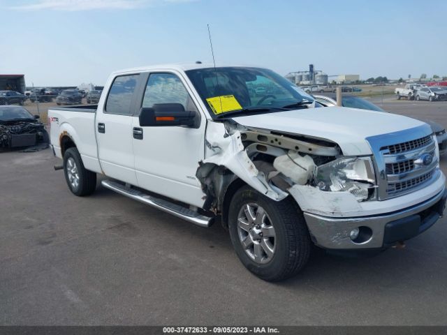 FORD F-150 2013 1ftfw1et1dfd42884