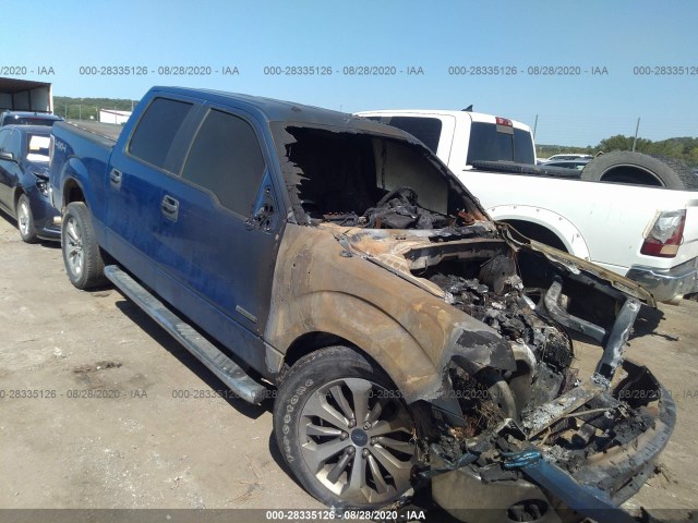 FORD F-150 2013 1ftfw1et1dfd46451