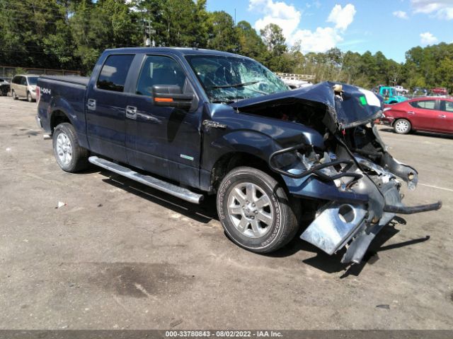 FORD F-150 2013 1ftfw1et1dfd53187