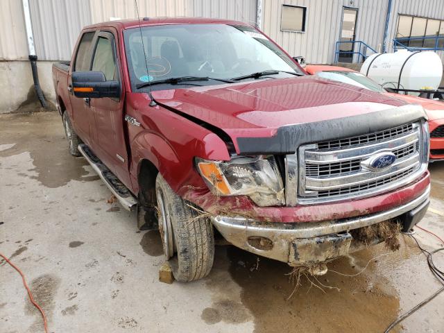 FORD F150 SUPER 2013 1ftfw1et1dfd66120