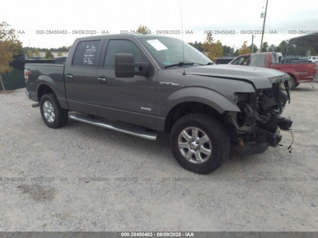 FORD F-150 2013 1ftfw1et1dfd72421