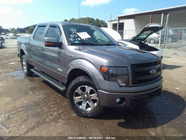 FORD F-150 2013 1ftfw1et1dfd79479