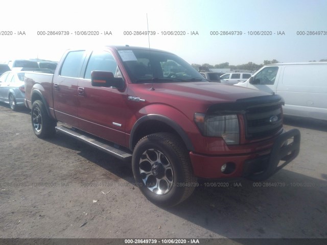 FORD F-150 2013 1ftfw1et1dkd37160