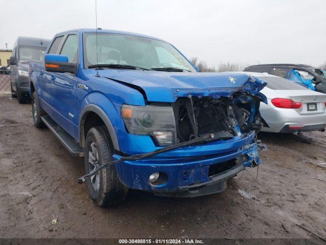 FORD F-150 2013 1ftfw1et1dke91514