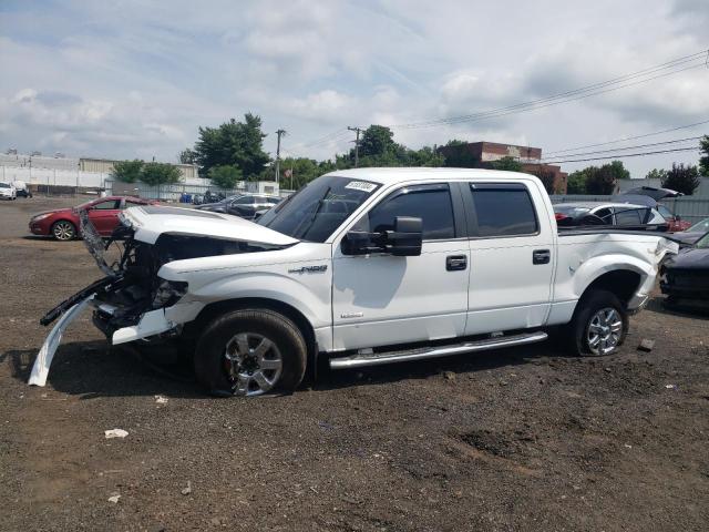 FORD F-150 2014 1ftfw1et1efa04595