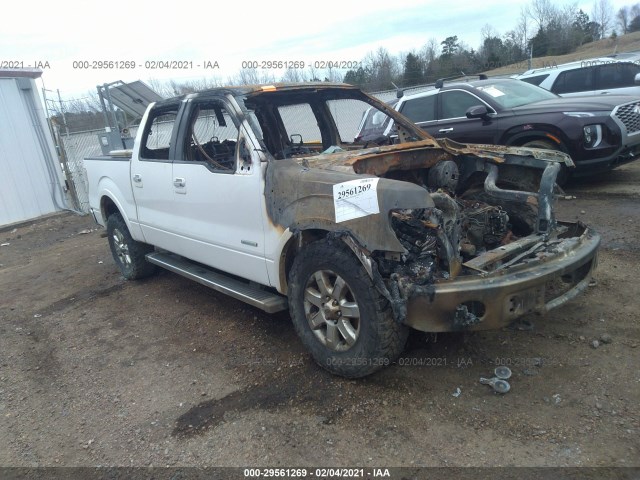 FORD F-150 2014 1ftfw1et1efa07268