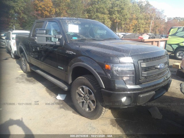 FORD F-150 2014 1ftfw1et1efa09392