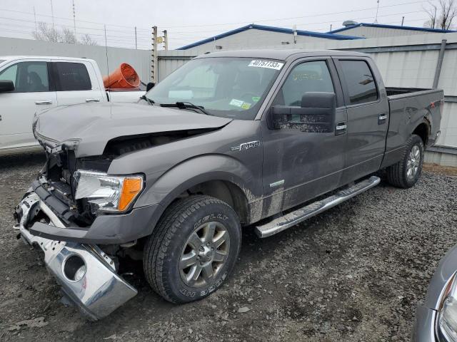 FORD F150 SUPER 2014 1ftfw1et1efa87462