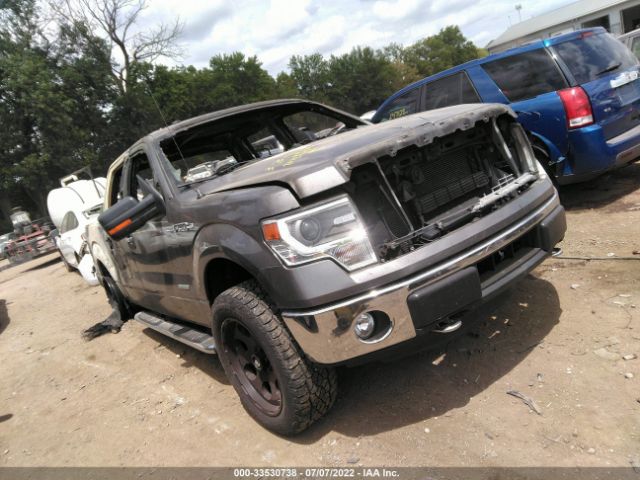 FORD F-150 2014 1ftfw1et1efb08925