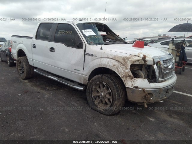 FORD F-150 2014 1ftfw1et1efb27765