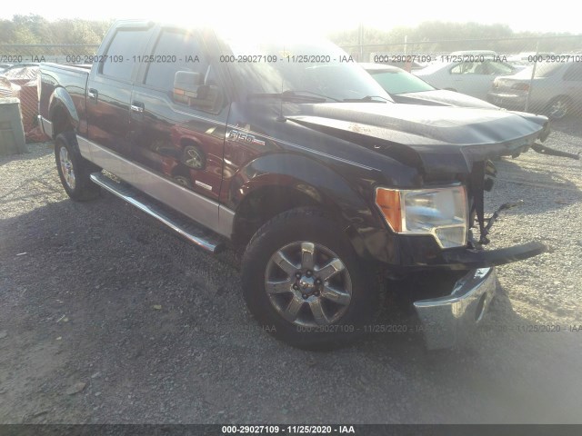 FORD F-150 2014 1ftfw1et1efb38216