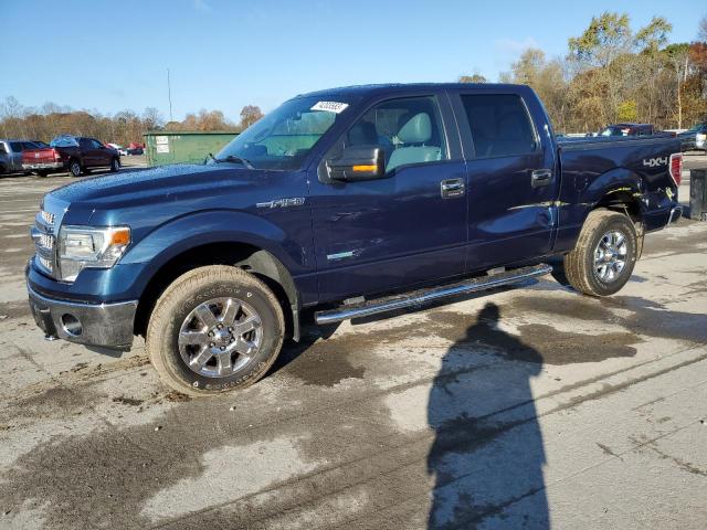 FORD F-150 2014 1ftfw1et1efb45117