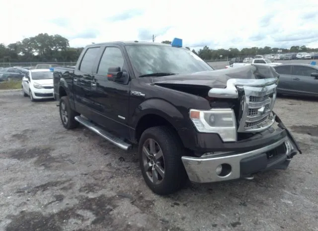 FORD F-150 2014 1ftfw1et1efb56957