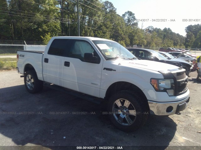 FORD F-150 2014 1ftfw1et1efb62497