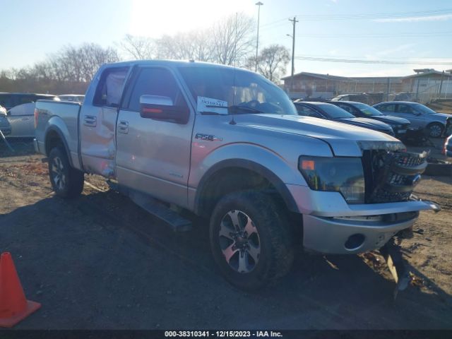 FORD F-150 2014 1ftfw1et1efb87271