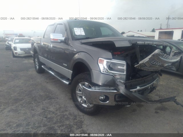 FORD F-150 2014 1ftfw1et1efb93720