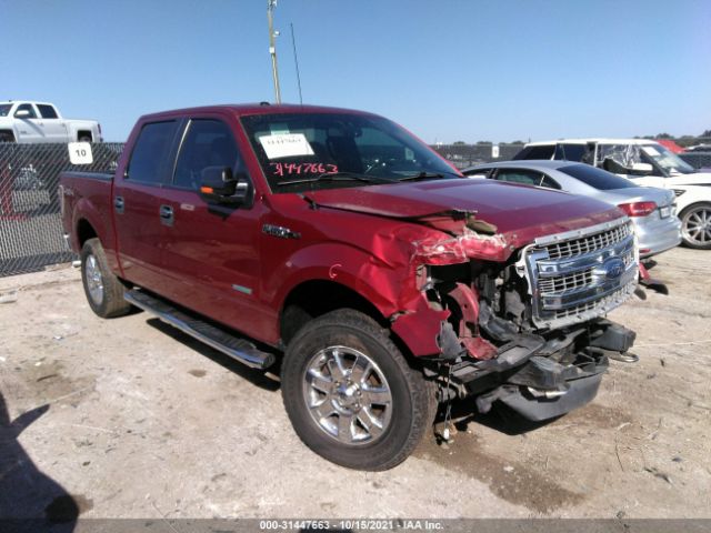 FORD F-150 2014 1ftfw1et1efb97248