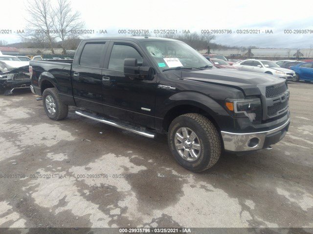 FORD F-150 2014 1ftfw1et1efc17126