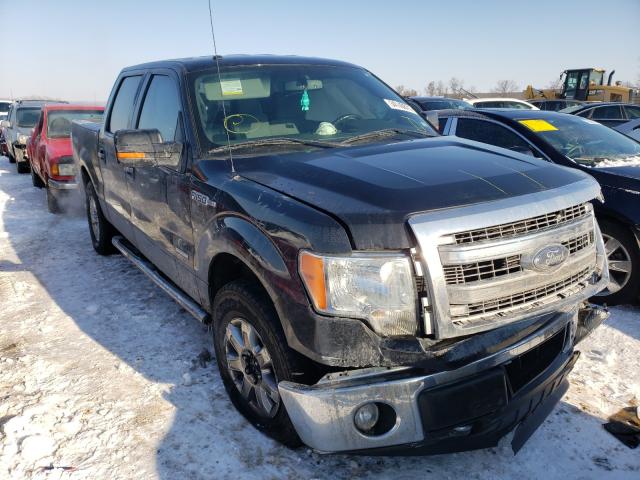 FORD F-150 2014 1ftfw1et1efc33052