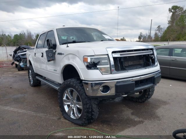 FORD F-150 2014 1ftfw1et1efc67489