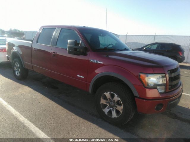 FORD F-150 2014 1ftfw1et1efc99343