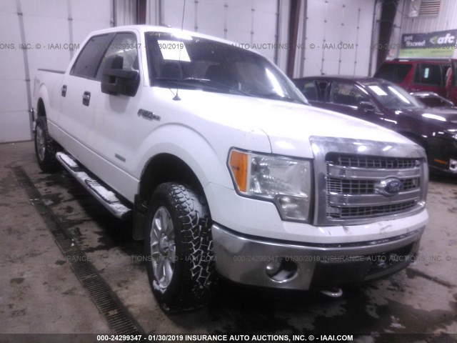 FORD F-150 2014 1ftfw1et1ekd81435