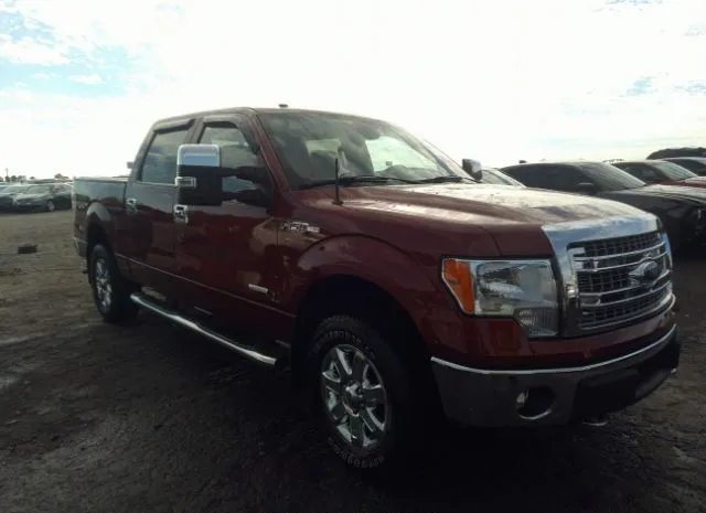 FORD F-150 2014 1ftfw1et1ekd91298