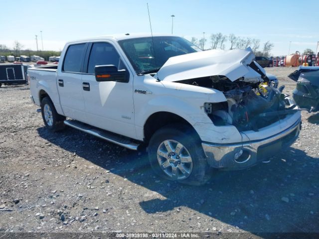 FORD F-150 2014 1ftfw1et1eke50303