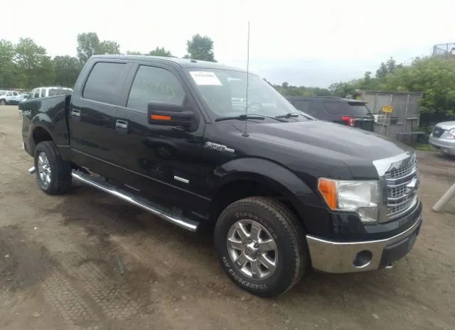 FORD F-150 2014 1ftfw1et1eke55968